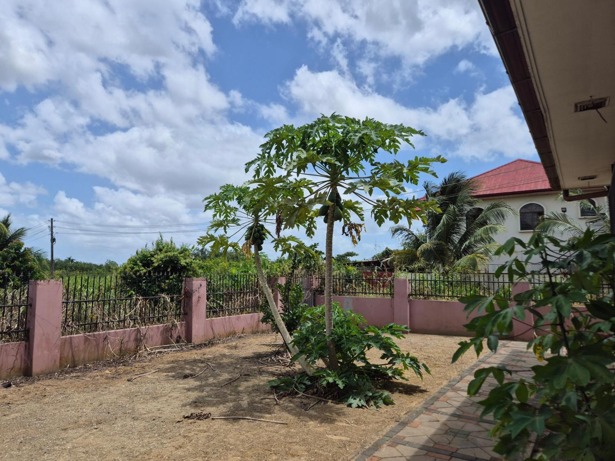 Chander'S Villa Парамарибо Екстериор снимка